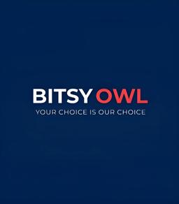 Bitsy Owl logo