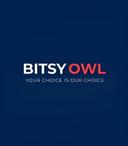 Bitsy Owl logo